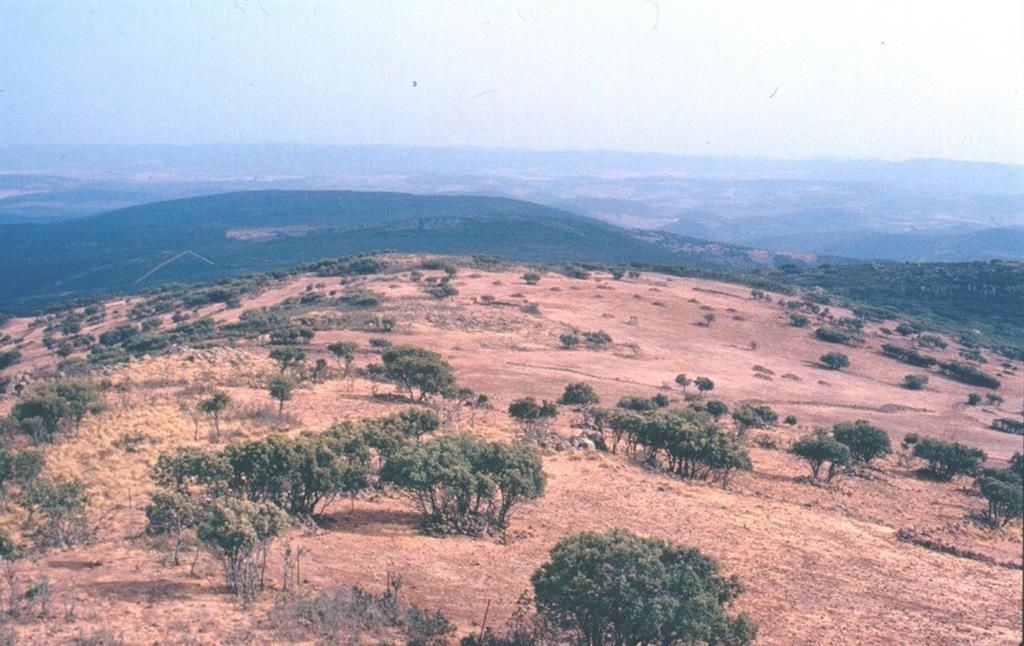 Imagen tomada desde el cráter y en sentido sur de la colada que emitió en este sentido el volcán de La Atalaya de Calzada.
