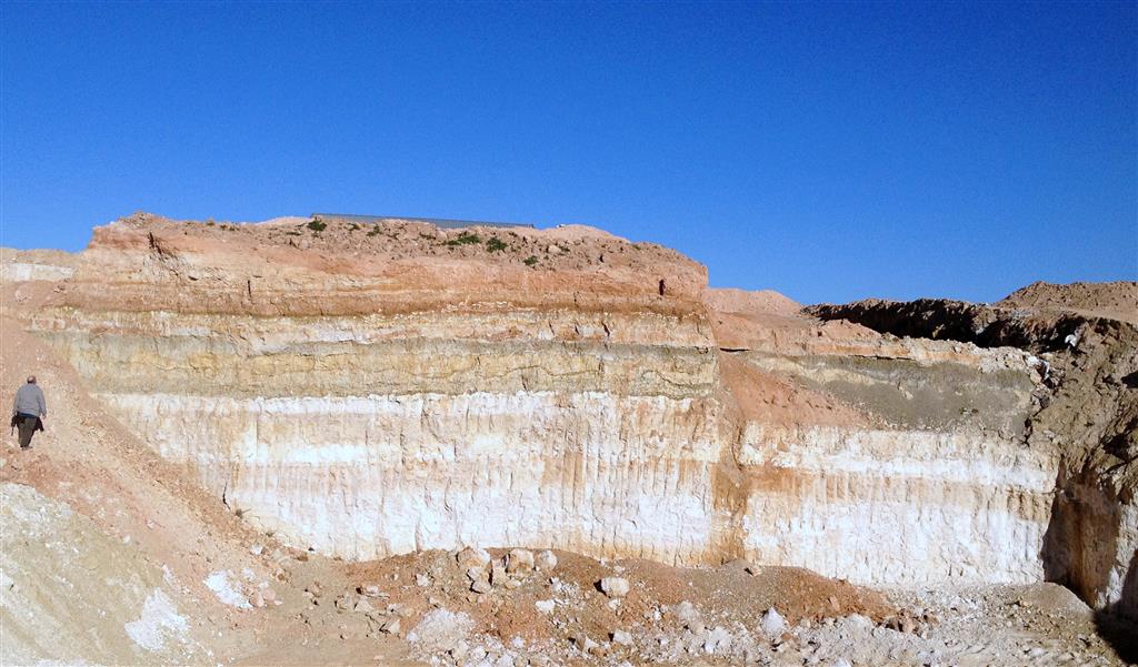 Afloramiento - frente de explotación de 2013, mostrando una mayor potencia de la serie estratigráfica dolomítica. (foto tomada 4/1/2013), se observa una secuencia estratigráfica completa coronada por una superficie erosiva con desarrollo de costras calcáreas.